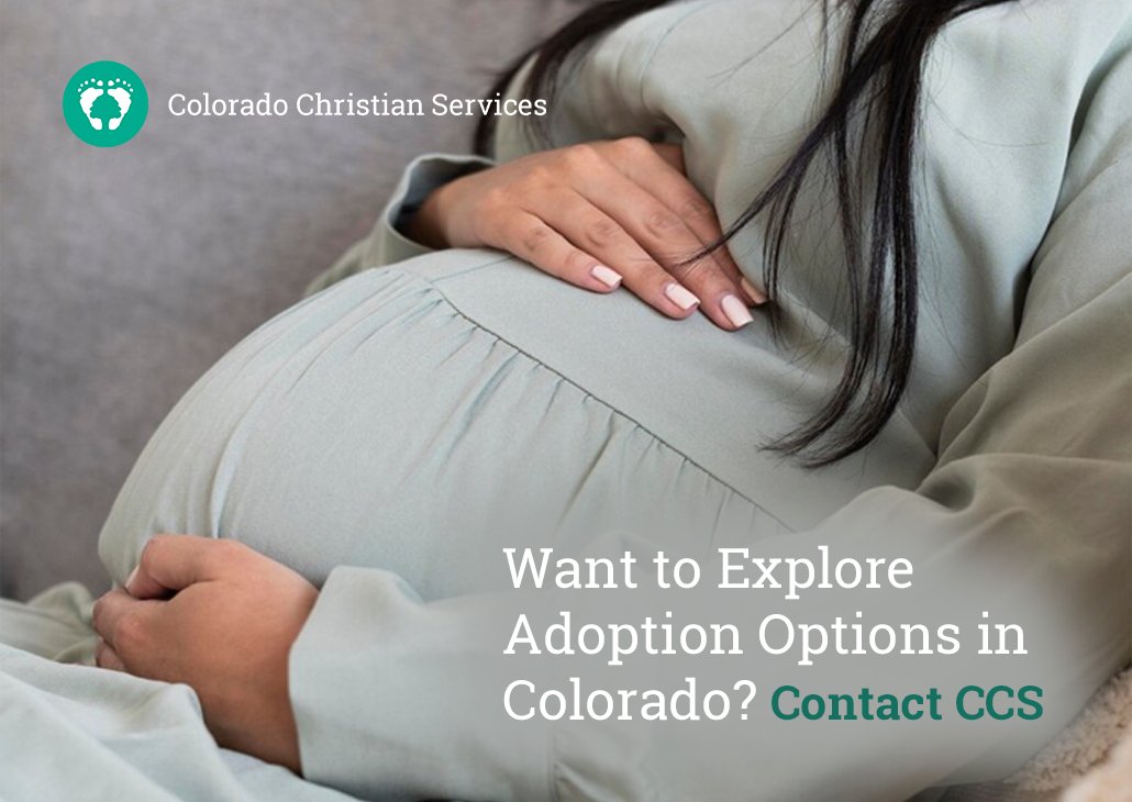 adoption options in Colorado
