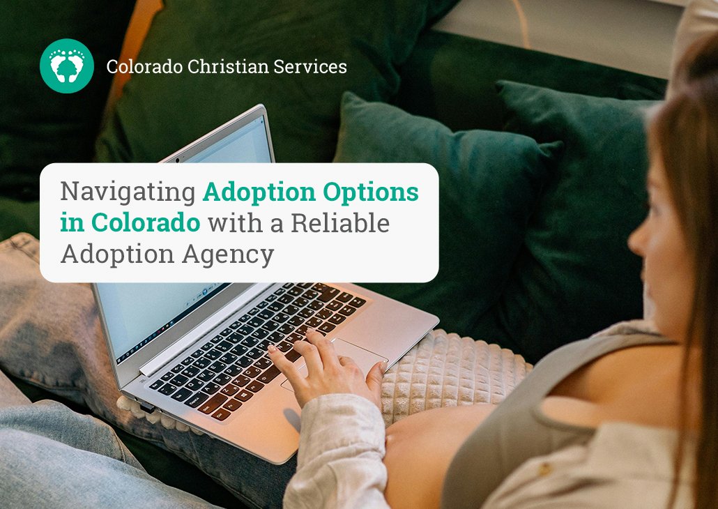 adoption options in Colorado