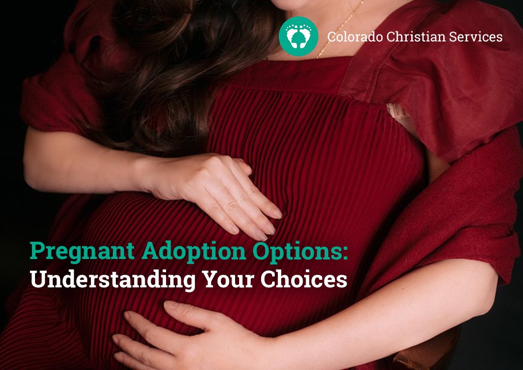 pregnant adoption options
