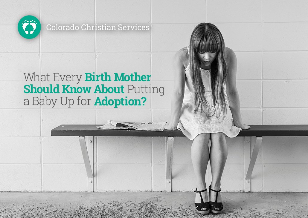 Baby Up for Adoption