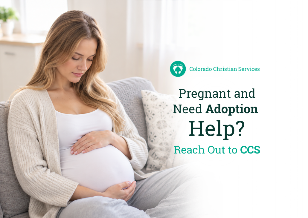 Pregnant Adoption Help